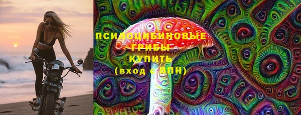 прущая мука Алзамай